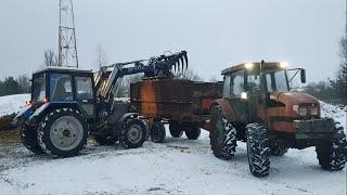 В паре с Алексеем кормим КРС / один ГРУЗИТ - второй ВОЗИТ . Банный день / за Русь !