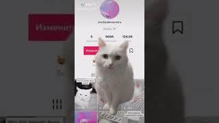 sofiadelmonstro | Animals Pets TikTok |