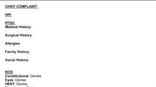 Ideal Medical Scribe Chart - Example Medical Documentation - Flank Pain - Provider's SOAP Note