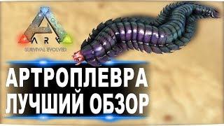 Артроплевра (Arthropluera) в АРК. Лучший обзор: приручение и способности в ark.