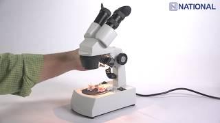 452 & 453: Compact Dual Mag. Stereo Microscopes