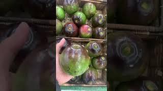 Jaro Iloilo Hypermart | #tropicalfruit | #SM | #shorts | #jaro | #iloilo | #philippines #venturesfan