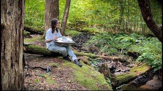 I Am Held - Amy Naylor | Handpan Mantra