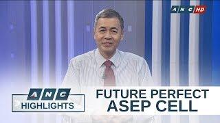 ASEP CELL: Achieving full rural electrification through renewable energy | Future Perfect