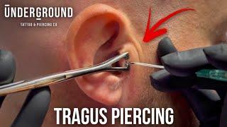 How To Get A Tragus Piercing  Cool Ear Piercing @undergroundbodypiercing