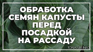 Обработка семян капусты перед посадкой на рассаду | toNature.Info