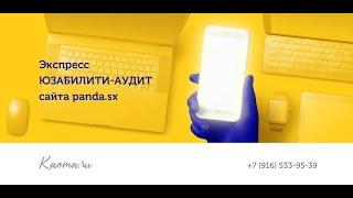 Экспресс юзабилити аудит сайта pandasx