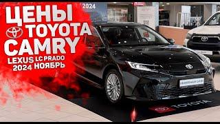 ЦЕНА Toyota в России - Camry, Land Cruiser Prado, Lexus Ноябрь 2024