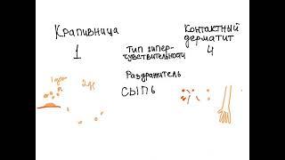 Крапивница или контактный дерматит? Крапивница. Контактный дерматит. Сыпь.