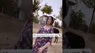 шармандагии духтари точик ходиса тв