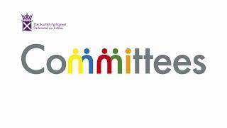 There shall be a Scottish Parliament – Committees