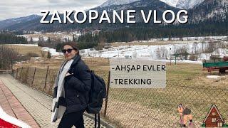 ZAKOPANE, Poland VLOG | Muhteşem Ahşap Ev, Trekking