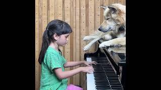 Bach on Piano for Sharky the Dog