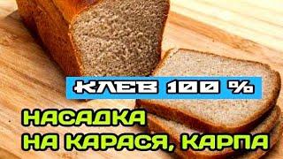 ТЕСТО ДЛЯ РЫБАЛКИ НА КАРАСЯ. НАСАДКА ИЗ ЧЕРНОГО ХЛЕБА НА КАРАСЯ, КАРПА, ПЛОТВУ