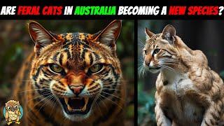 Are FERAL Cats in Australia Evolving into a New Species?