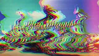 Plaza Miranda - Chin Flow ( Visualizer Video )