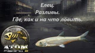 Atom Fishing II - Елец. Разливы. Где, как и на что ловить.