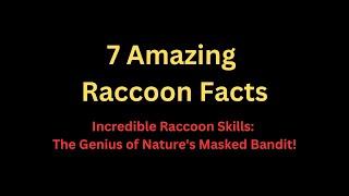 7 Amazing Raccoon Facts | Incredible Raccoon Skills: The Genius of Nature's Masked Bandit!