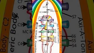 15 Chakras Revealed: The Hidden Truth Beyond the 7 Chakras