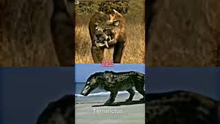 Smilodon vs Andrewsarchus #paleontology #prehistoric #shorts