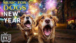 [LIVE] Dog TV: New Year’s Countdown | Anti-Anxiety Music to Calm Dogs from Fireworks & Loud Noises