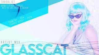 Glasscat - Artist Mix