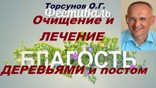 Торсунов О.Г. Очищение и ЛЕЧЕНИЕ ДЕРЕВЬЯМИ и ПОСТОМ. Фестиваль БЛАГОСТЬ, 22.09.2017