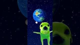 dog ️