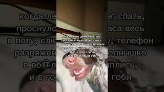 Подписывайся на мой тг канал! Тут много интересного OVERSUN ⬆️⬇️ #shorts #meme #subscribe #угар