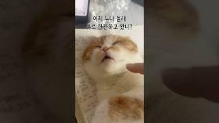 어제 누나몰래 뭘한거야 ㅋㅋㅋㅋㅋㅋㅌ