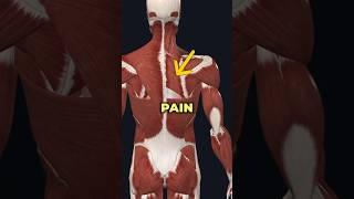 Pain between Shoulder Blades? Do this! #shoulder #fixshoulderpain