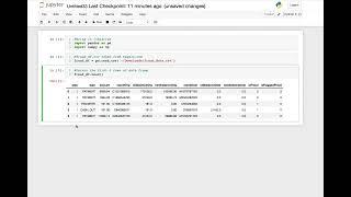 Reading a CSV file into a Pandas Data Frame: Fraud Data