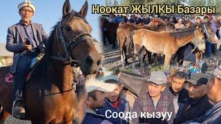 СООДА КЫЗУУ БОЛДУ  НООКАТ ЖЫЛКЫ БАЗАРДА