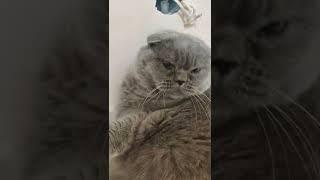 фу у кого жопа воняет