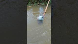 Funny Video Of Fishing With Unbelievable Teta#funny#shorts#viralvideo