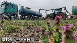 Gärreste Transportieren und ausbringen mit MAN TGS und Fendt 1050 mit STAPEL Tridem & 36m Gestänge!