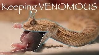 The fun part of being a VENOMOUS keeper!!!