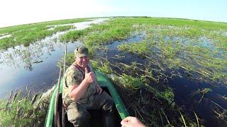 Рыбалка на ПАУК ПОДЪЁМНИК . Огромные караси и сазаны в пересыхающем ручье