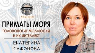 Головоногие моллюски и их интеллект / Екатерина Сафонова, доцент АмГПГУ