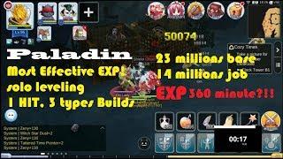 Most EXP!! Paladin 3 types 1 HIT build- Ragnarok Mobile with to 17