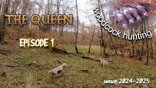 THE QUEEN - EP.1 / Κυνήγι Μπεκάτσας /Woodcock Hunting /Caccia alla Beccaccia /Çulluk Avı [2024-2025]