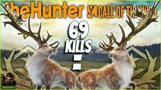 We Hunted 2 Great One Red Deer 69 Kills Apart... NICE! Call of the wild