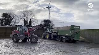 Beef focus: Integrated dairy and beef farm in Tipperary