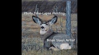 Mule Deer in the Brush Acrylic Painting Photo Time Lapse - Brian Sloan Artist