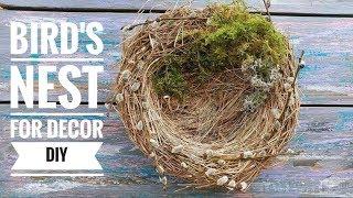 Bird's Nest DIY for Easter decor 