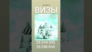 РАБОЧИЕ ВИЗЫ В РОССИЮ. Как оформить многократную визу в Россию. ВИЗЫ В РОССИЮ НА 1 ГОД. Strendžers.