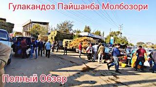 Гулакандоз Пайшанба Молбозори. Полный Обзор.21.09.2023.