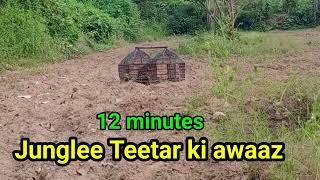 Teetar sound Teetar madi awaz Teetar ki awaaz chahiye तीतर की रिंगटोन Teetar ki voiceTeetar ki boli