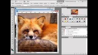 Урок 1  Обзор интерфейса Adobe Photoshop CS5