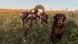 Hunting Hundreds of Ducks In a Tiny Public Land Pothole!